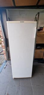 Frigo Réfrigérateur SEVERIN, Electroménager, 140 à 160 cm, Classe énergétique A ou plus économe, 60 à 90 cm, Utilisé