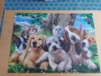 Puzzle avec des animaux 1000 pièces, Hobby & Loisirs créatifs, Comme neuf, 500 à 1500 pièces, Enlèvement