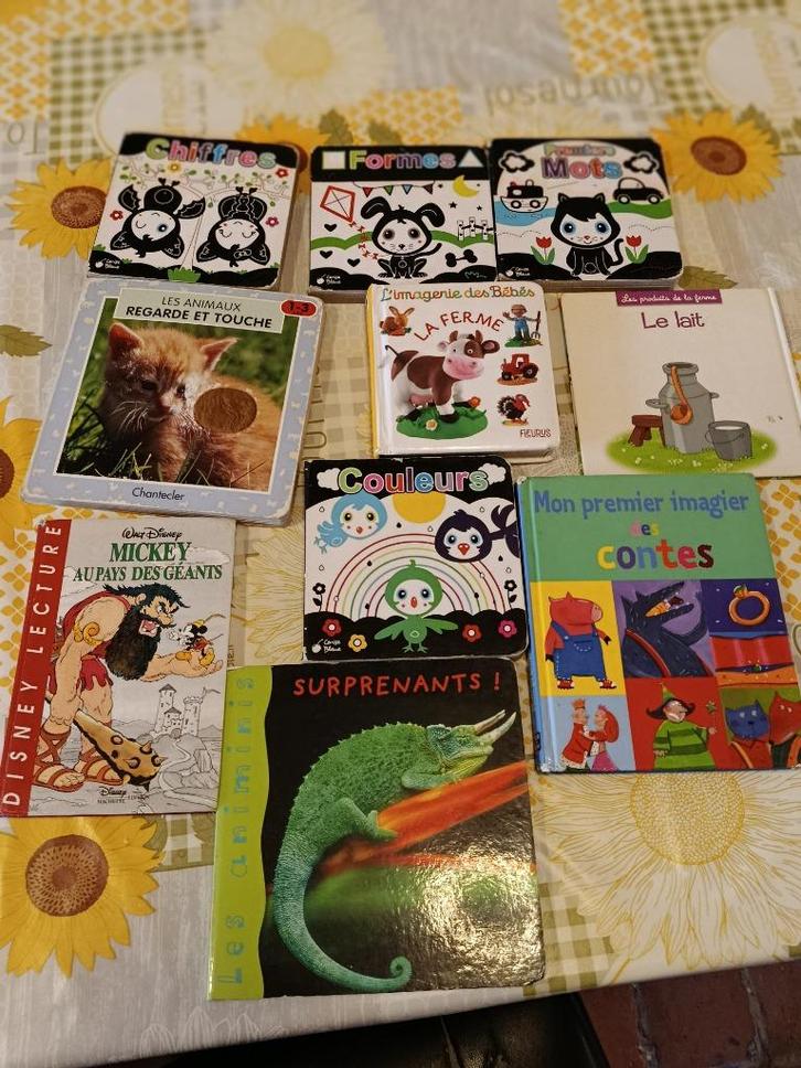 Lot de livres pour les petits, Enfants & Bébés, Jouets | Autre, Utilisé, Garçon ou Fille, Enlèvement