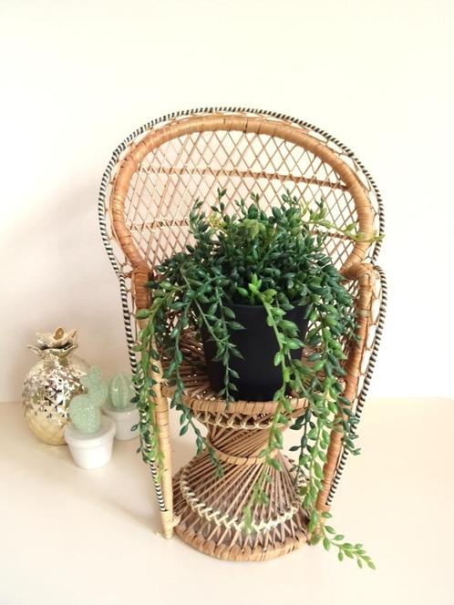 Emmanuelle stoel jaren '70, voor pop, plant, knuffel, enz, Verzamelen, Poppen, Gebruikt, Accessoires, Ophalen of Verzenden