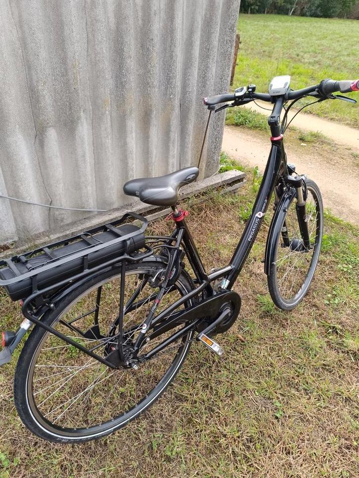 Pegasus met Bosch middenmotor, Vélos & Vélomoteurs, Vélos électriques, Enlèvement