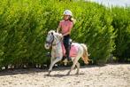 Knappe en leuke kinderpony, Dieren en Toebehoren, Pony's, Zadelmak, A pony (tot 1.17m), 11 jaar of ouder, Recreatiepony