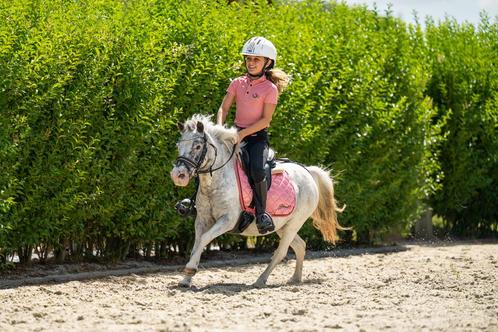 Knappe en leuke kinderpony, Dieren en Toebehoren, Pony's, Merrie, Zadelmak, A pony (tot 1.17m), Recreatiepony, 11 jaar of ouder