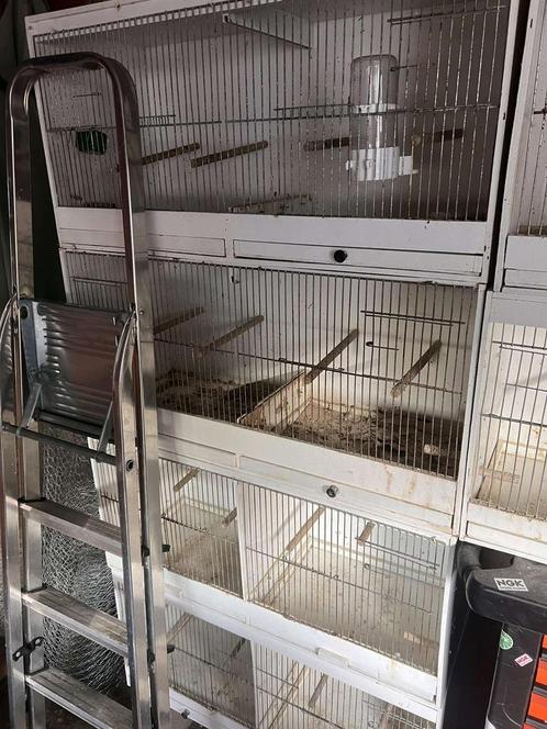 Kweekkooien 6 stuks, Dieren en Toebehoren, Vogels | Hokken en Kooien, Gebruikt, Broedkooi of Kweekkooi, Hout, Ophalen of Verzenden