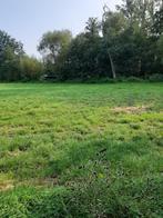 Weiland, Dieren en Toebehoren, Stalling, 1 paard of pony