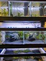 Aquarium stelling te koop, Ophalen, Zo goed als nieuw