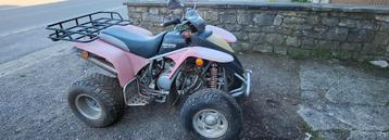 Quad moteur Suzuki