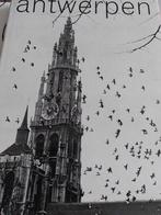 Antwerpen, stad der Sinjoren, Boeken, Geschiedenis | Stad en Regio, Ophalen, Gelezen