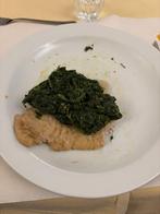 Overheerlijke spinazie, Animaux & Accessoires, Nourriture pour Animaux, Envoi