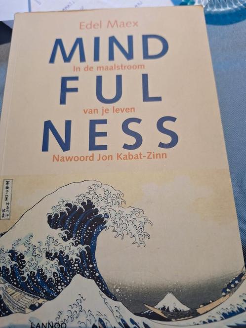 Edel Maex - Mindfulness, Boeken, Esoterie en Spiritualiteit, Zo goed als nieuw, Ophalen