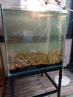 Vierkant aquarium met onderstel, Ophalen, Gebruikt