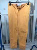 lange broek springfield dames medium, Maat 38/40 (M), Ophalen of Verzenden, Zo goed als nieuw, Lang
