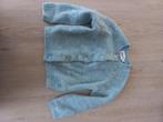 Warme trui 92, Kinderen en Baby's, Kinderkleding | Maat 92, Jongen of Meisje, Trui of Vest, Filou & Friends, Ophalen of Verzenden
