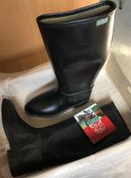 bottes d'équitation, Animaux & Accessoires, Vêtements d'équitation, Enlèvement, Comme neuf, Dressage, Chaussures