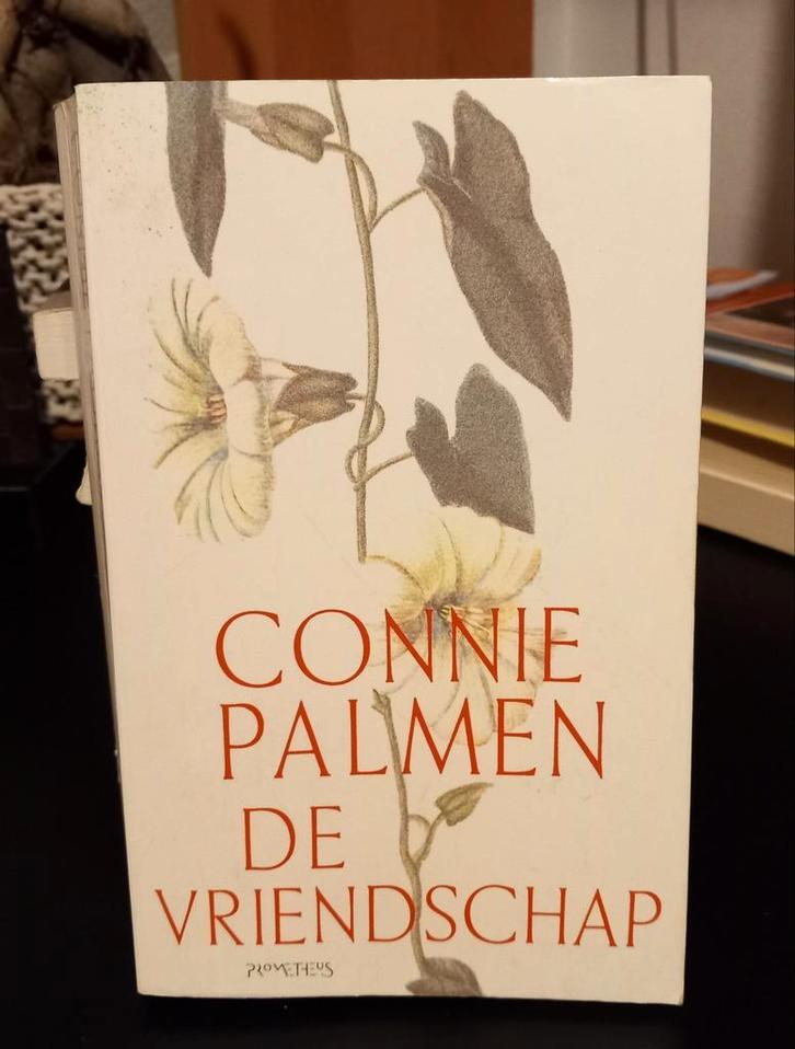 Connie Palmen - De vriendschap, Boeken, Literatuur, Zo goed als nieuw, Ophalen of Verzenden