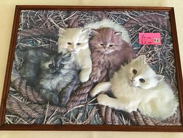 magnifique cadre avec des chats mesurant 70 cm sur 52 cm, Enlèvement ou Envoi, Comme neuf