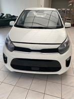 Kia Picanto 1000 Vision 5 portes, Autos, Kia, 118 g/km, Achat, 998 cm³, Euro 6