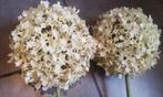 2 tiges Allium blanc 105 cm, Ophalen, Gebruikt