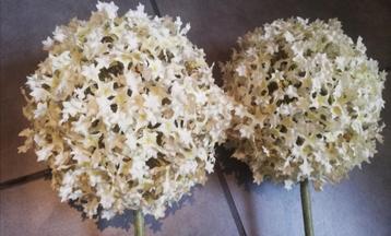 2 tiges Allium blanc 105 cm beschikbaar voor biedingen