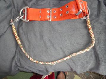 Ceinture de grimpeur pour arboriculteur