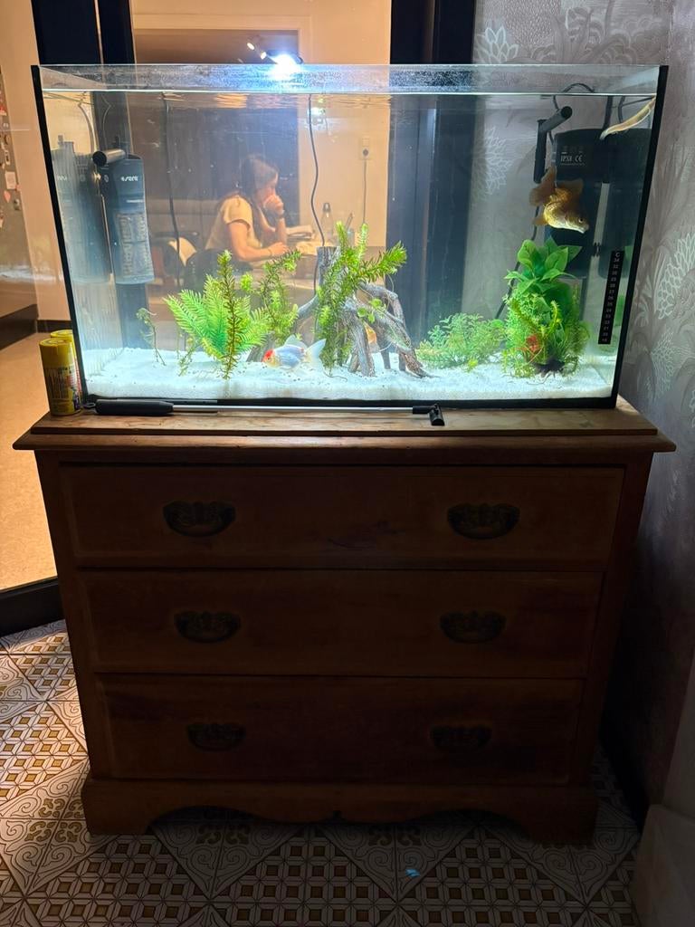 Aquarium, Animaux & Accessoires, Poissons | Aquariums & Accessoires, Comme neuf, Decoratie, Enlèvement