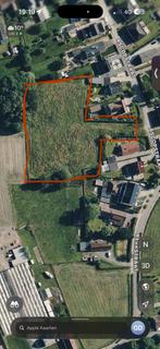 Vol pension met weidestallingen, Weidegang, 2 of 3 paarden of pony's