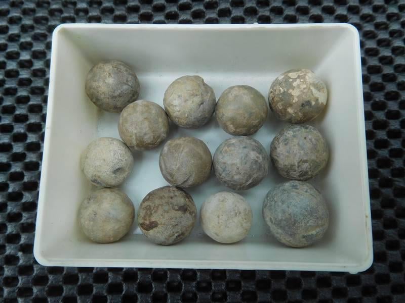 Musketkogels, Ophalen, Overige soorten