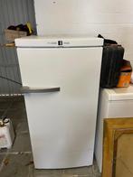 Diepvries, Electroménager, Congélateurs, Congélateur, 120 à 140 cm, Enlèvement, Utilisé