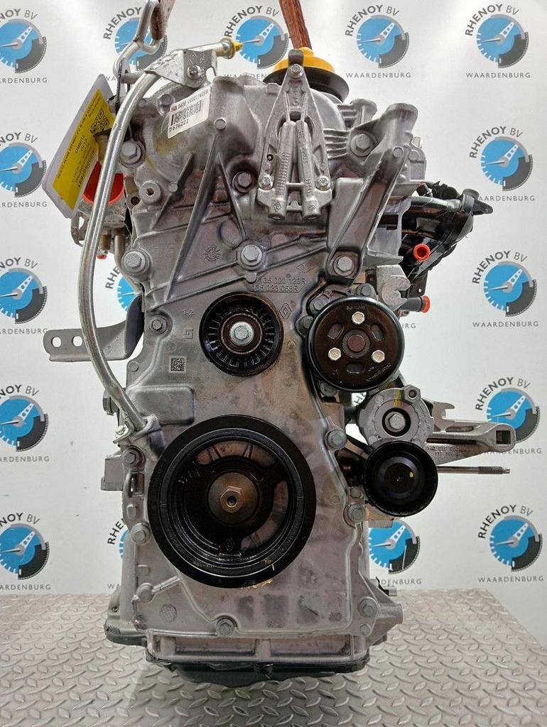 RENAULT CLIO MOTOR 2017, Auto-onderdelen, Ophalen of Verzenden, Nieuw, Stiba lid