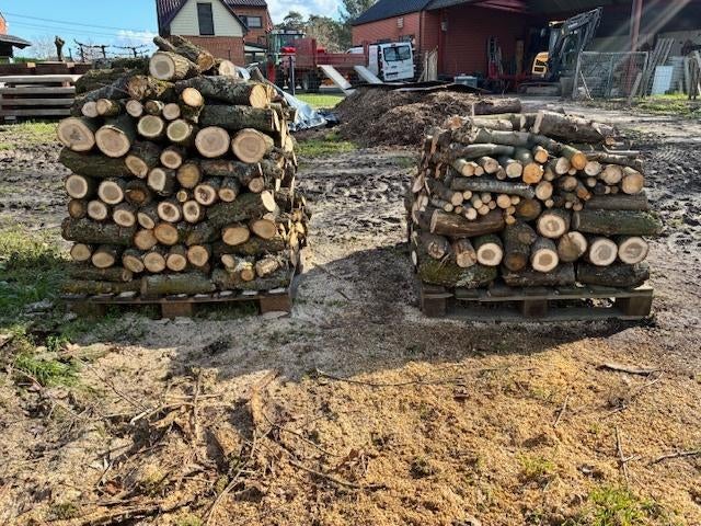 brandhout, Moins de 3 m³, Enlèvement, Chêne, Branches