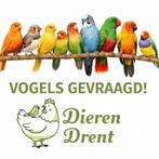 Vogels gevraagd