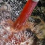 Gezocht ! Resten rooie rode mazout / diesel / stookolie, Doe-het-zelf en Bouw, Ophalen