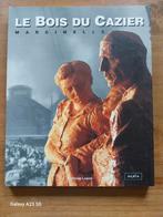 Le Bois du Cazier - Marcinelle, Livres, Enlèvement ou Envoi, Comme neuf, Jean-Louis Delaet, Alain Forti, Francis Groff