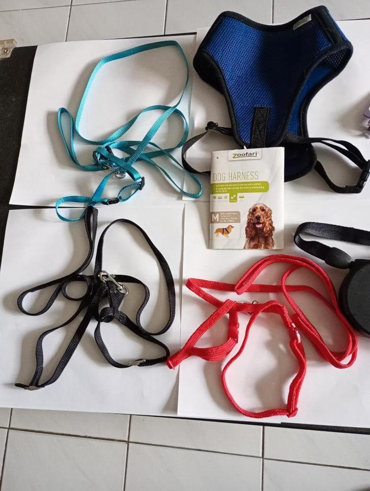 lot hondenbenodigheden - veel nieuw, Dieren en Toebehoren, Honden-accessoires, Zo goed als nieuw, Ophalen of Verzenden