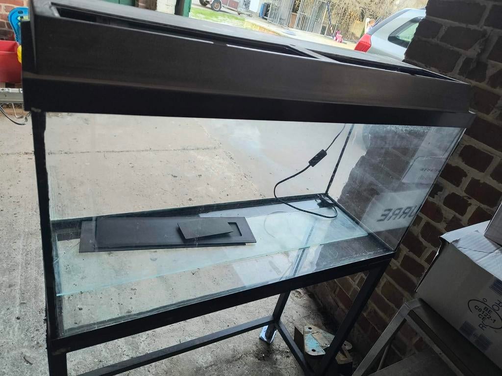 Aquarium, Enlèvement