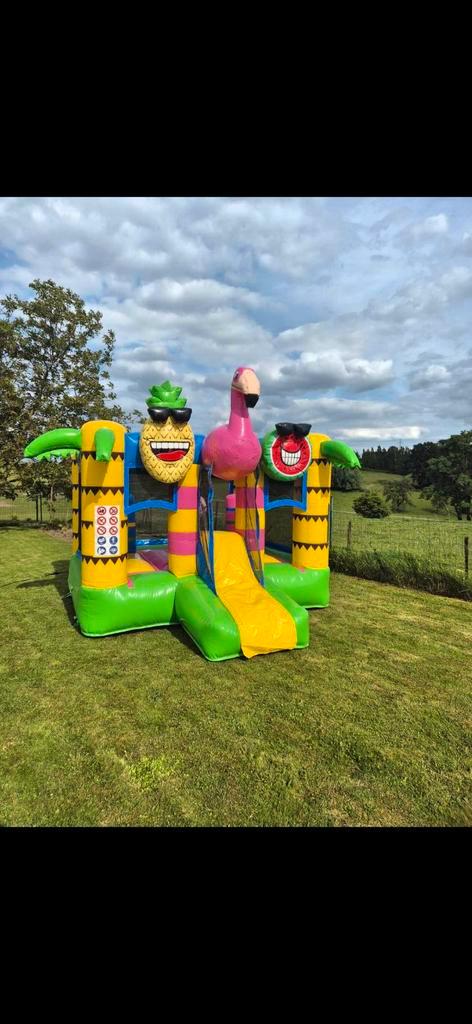 Location château gonflable tropical, Hobby & Loisirs créatifs, Articles de fête | Location, Enlèvement