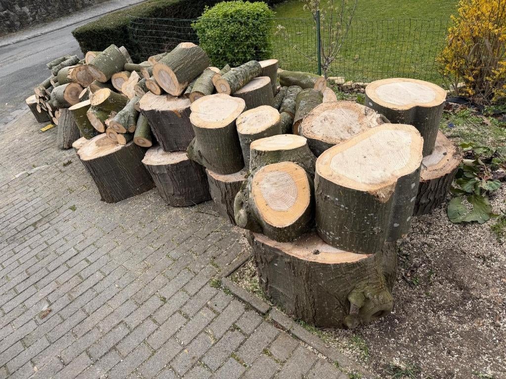 Bois de chauffage – Chêne rouge (Quercus rubra), Tuin en Terras, Brandhout, Blokken, Eikenhout, Ophalen