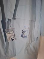 Nieuwe regenjas Disneyland  Paris, Kleding | Dames, Ophalen, Maat 42/44 (L), Blauw