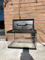 Aquarium 20L, Enlèvement, Comme neuf