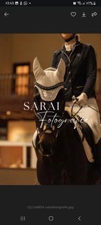 Bijrijder/leaser gezocht, Dieren en Toebehoren, Paarden