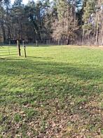 Weide met schuilstal ligt in bosrijke omgeving aan ruiterpad