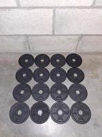 16 Halterschijven van 1kg per schijf, Sport en Fitness, Fitnessmaterialen, Ophalen, Halterschijven