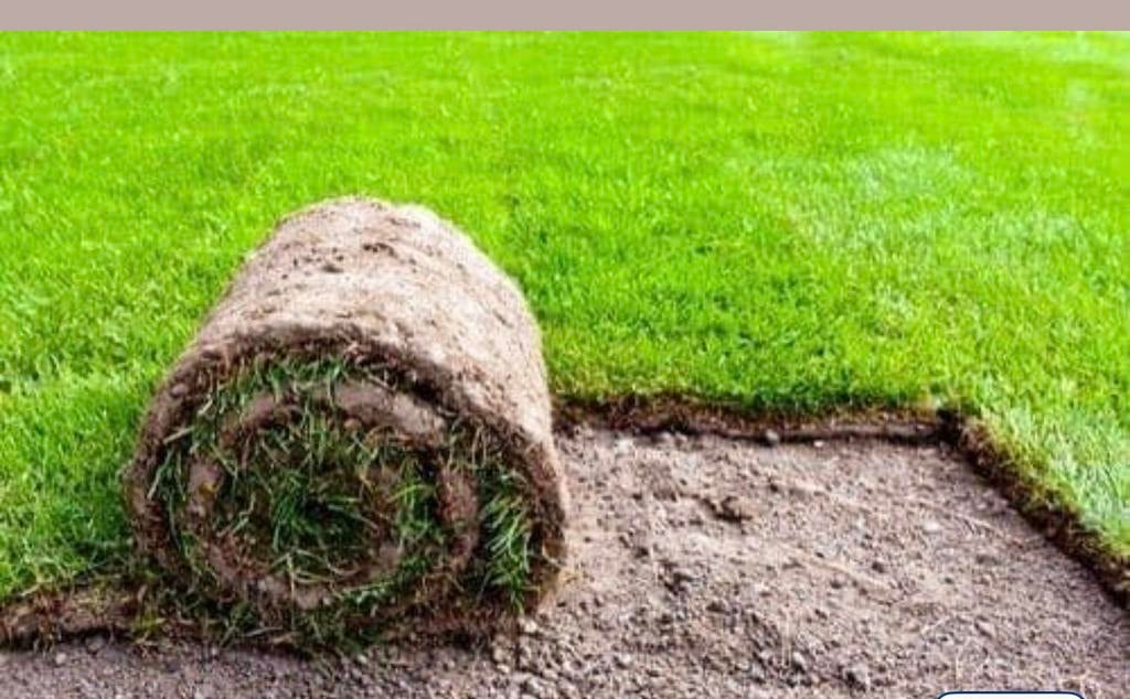 Graszoden, Tuin en Terras, Ophalen, Zo goed als nieuw