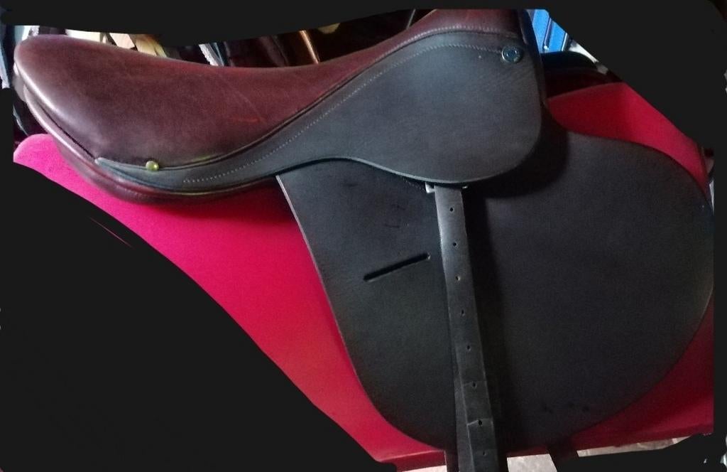 Nouvelle selle poney, Enlèvement ou Envoi