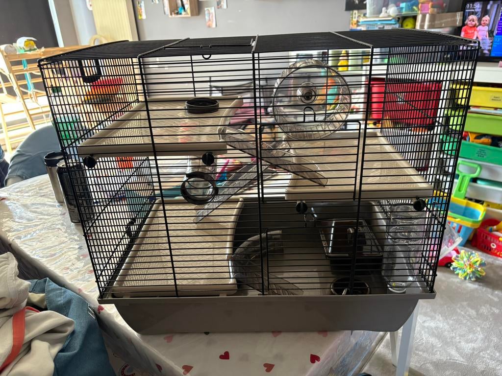 Knaagdierenkooi, Dieren en Toebehoren, Ophalen, Kooi, 60 tot 90 cm, Minder dan 75 cm