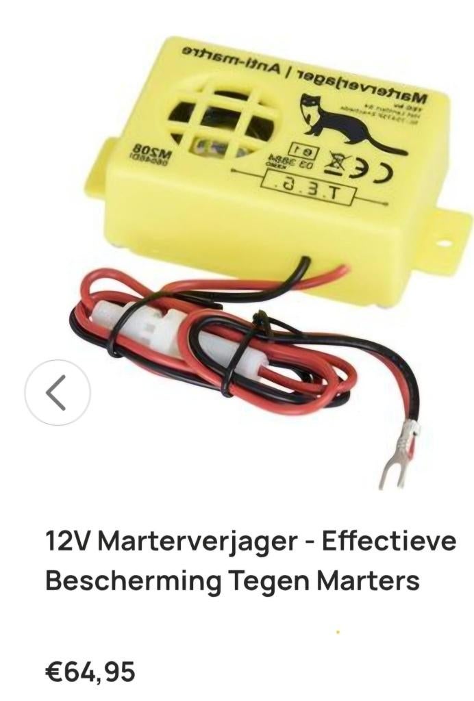 marter, Ophalen, Nieuw, Ongediertebestrijding