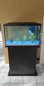 Aquarium super fish, Dieren en Toebehoren, Ophalen, Inclusief vissen, Zo goed als nieuw, Superfish