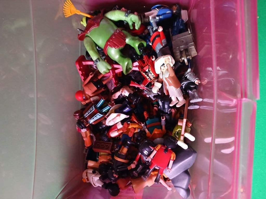 Lot playmobil, Enlèvement