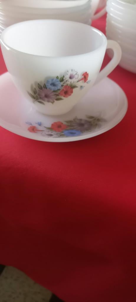 23 tassen en borden met mooi bloemen tekening, Ophalen