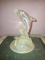 Kristalboogdolfijn, Ophalen of Verzenden